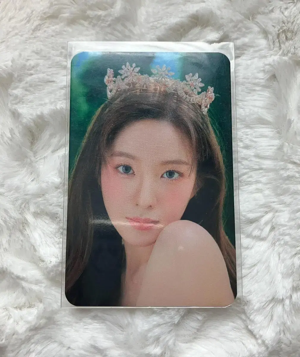 red velvet irene philmyrhythm glass cup photocard wts