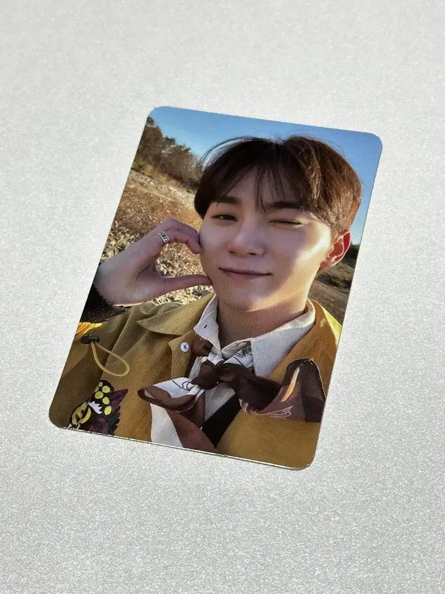 세븐틴 승관 페더썬 포카