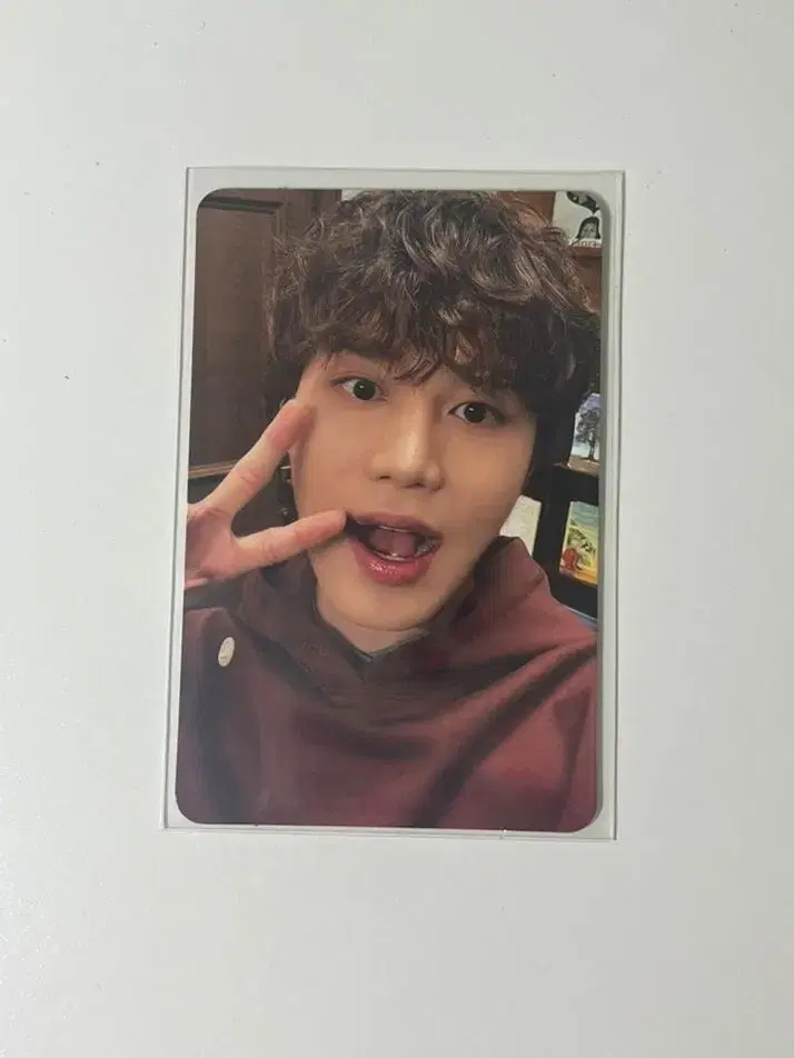 Stereo taeil photocard WTS