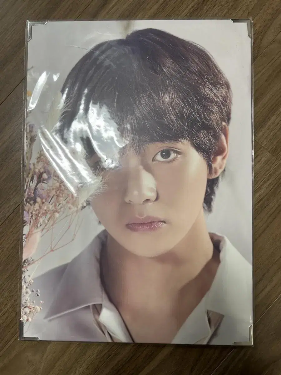 BTS bts v Ruxel Pro Premium Pro MD