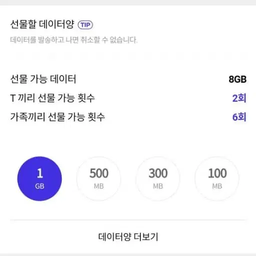 SK데이타 2GB 최저가에 팝니다!