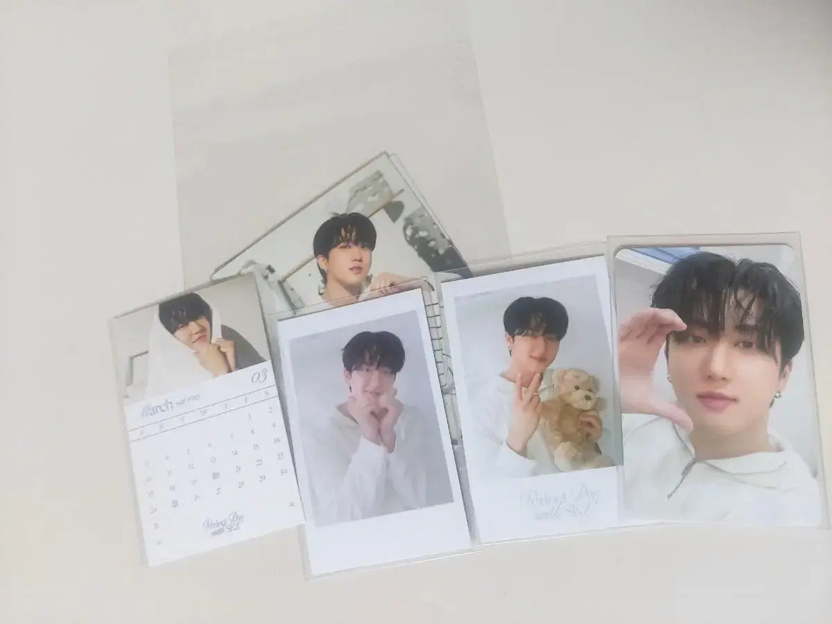 Straykids changbin season's greetings in bulk