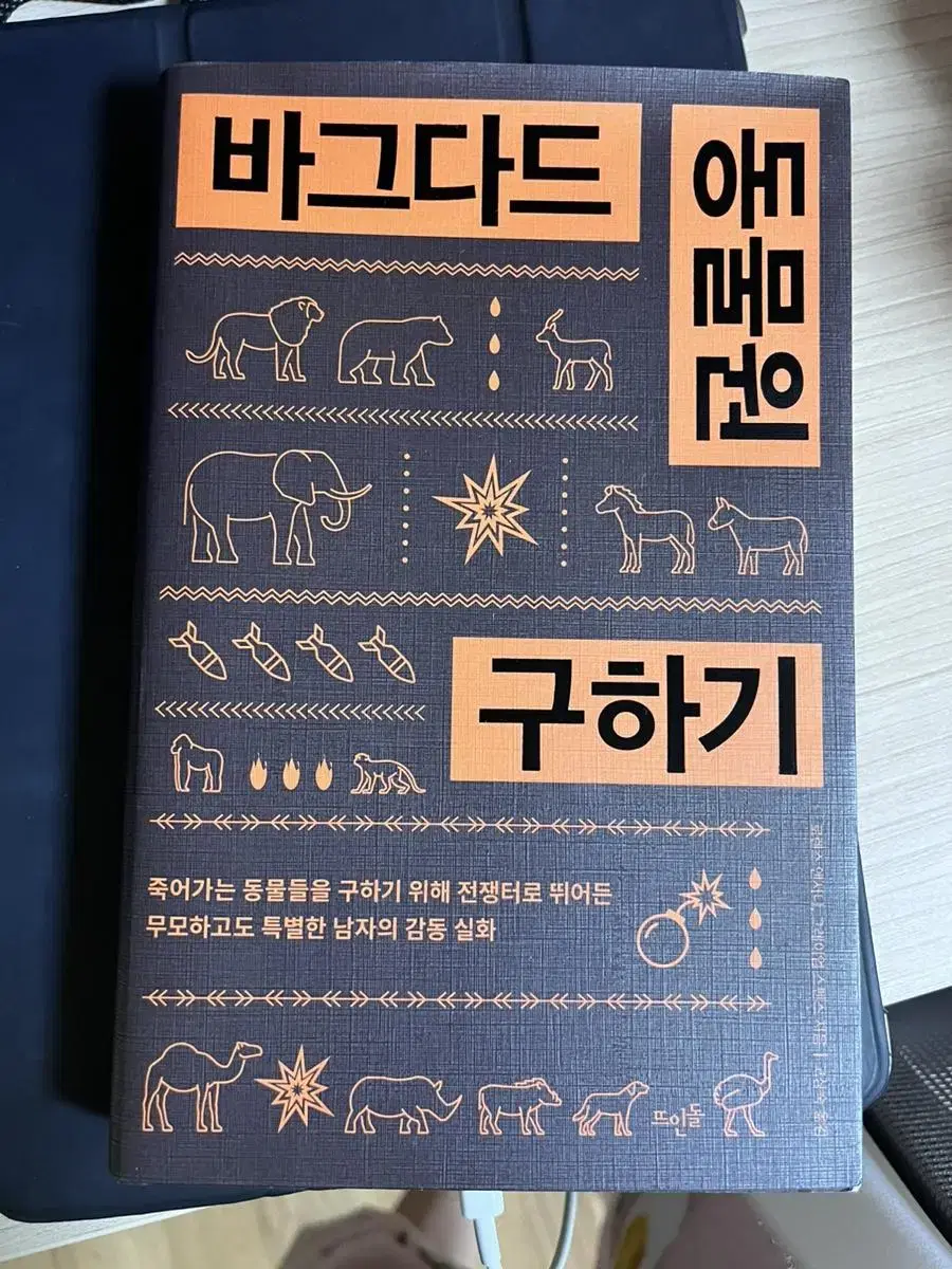 바그다드 동물원 구하기