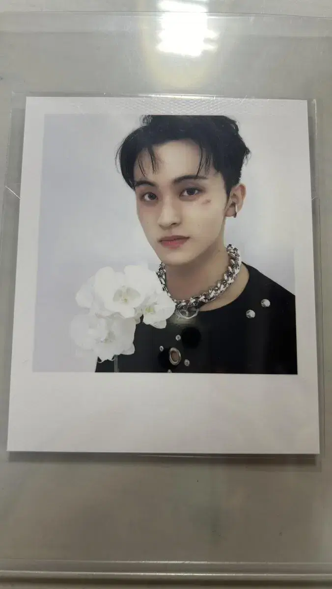 nct dream 2024 seasons greetings mark pola, polaroid wts / tc md