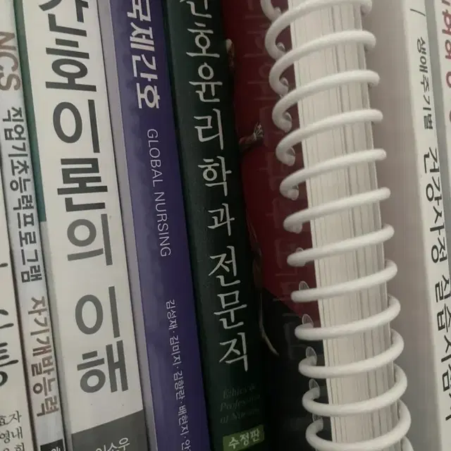 국제간호, 간호이론, 간호윤리학과 전문직