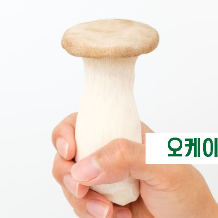 [오케이푸드] 새송이버섯 (4kg X 10박스)