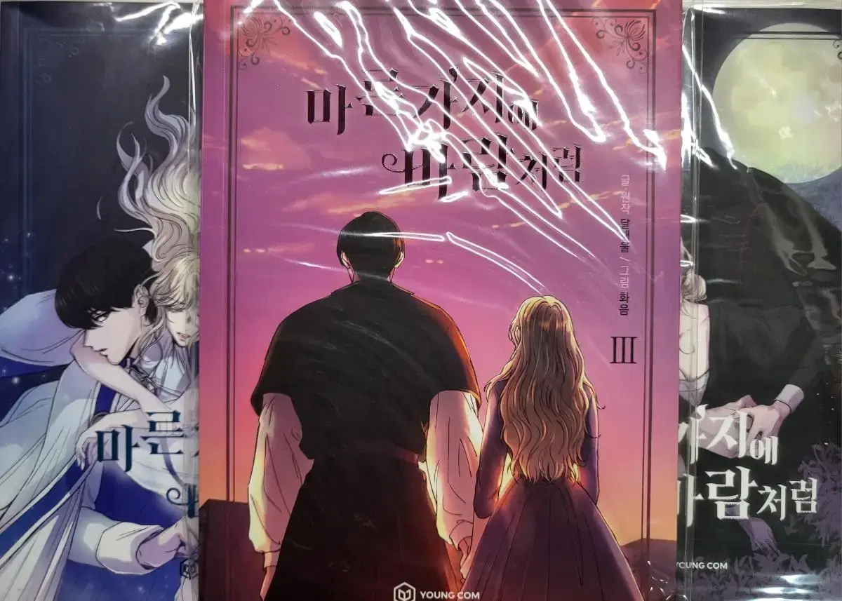 I sell the first edition of the webtoon Like the Wind on a Dry Branch Volume 1, Volume 2, Volume 3