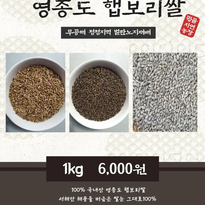 영종도 3색보리쌀 당뇨.혈압.간 으뜸곡물 (청보리.흑찰쌀보리.자색보리)