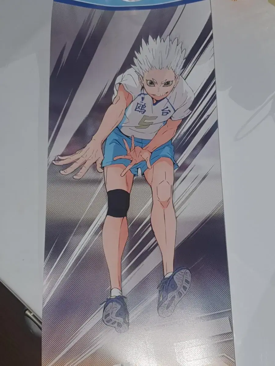 Haikyuu poster in bulk