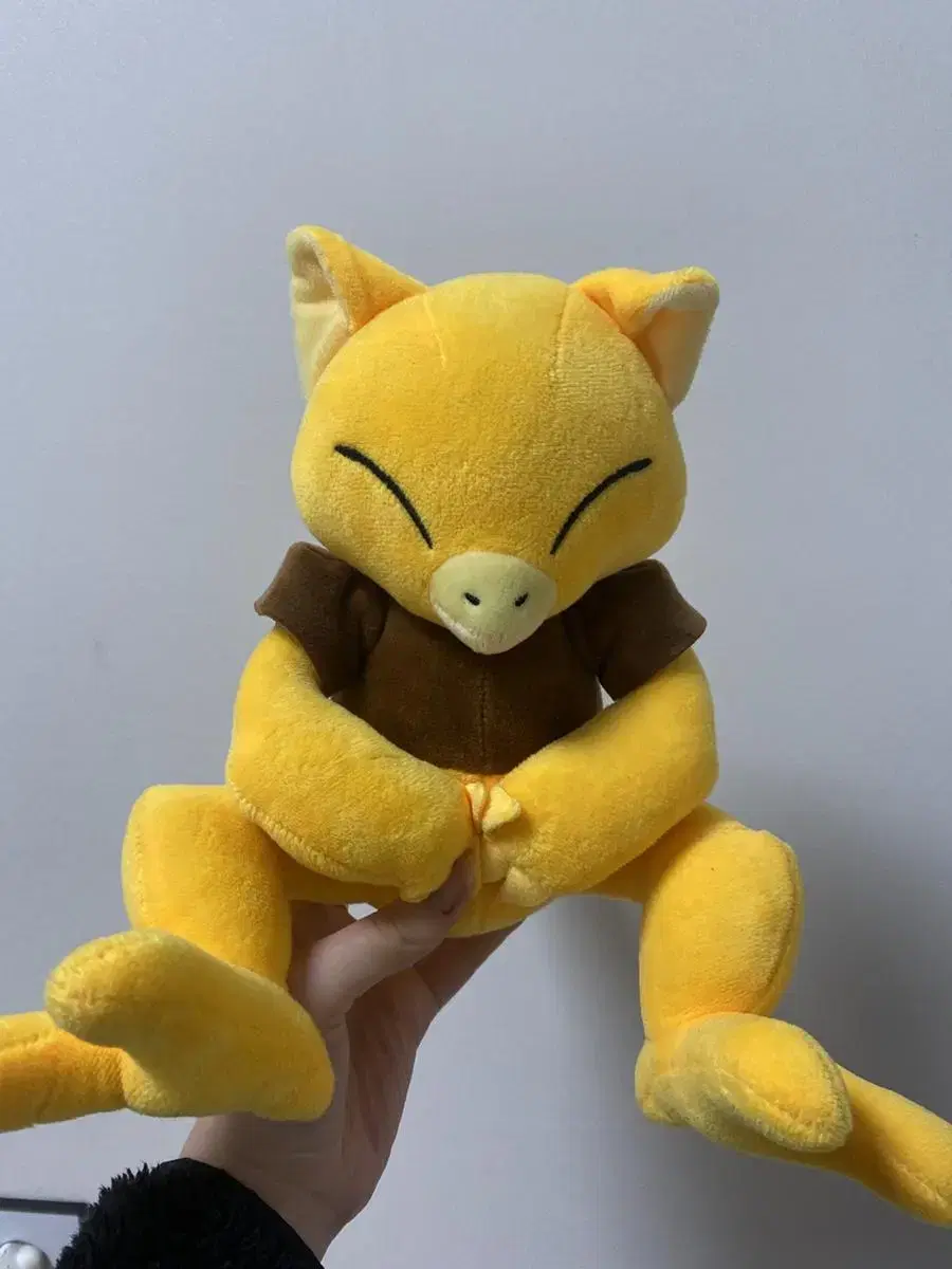 Various doll sells. Pokémon Casey (Casey) mu Ren Goku Kyojuro