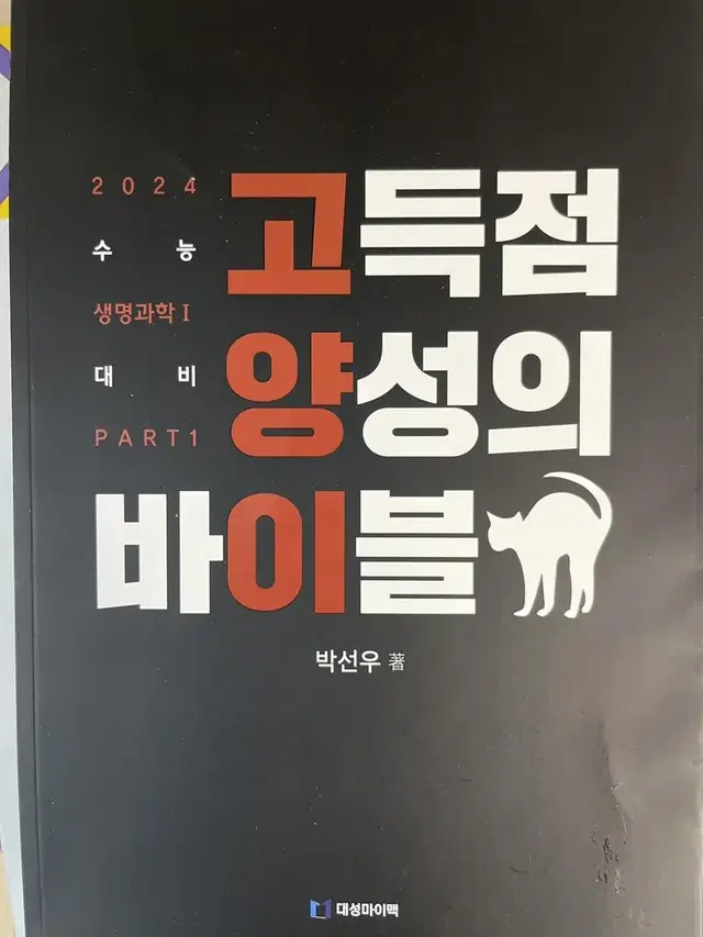 박선우 고양이 2024