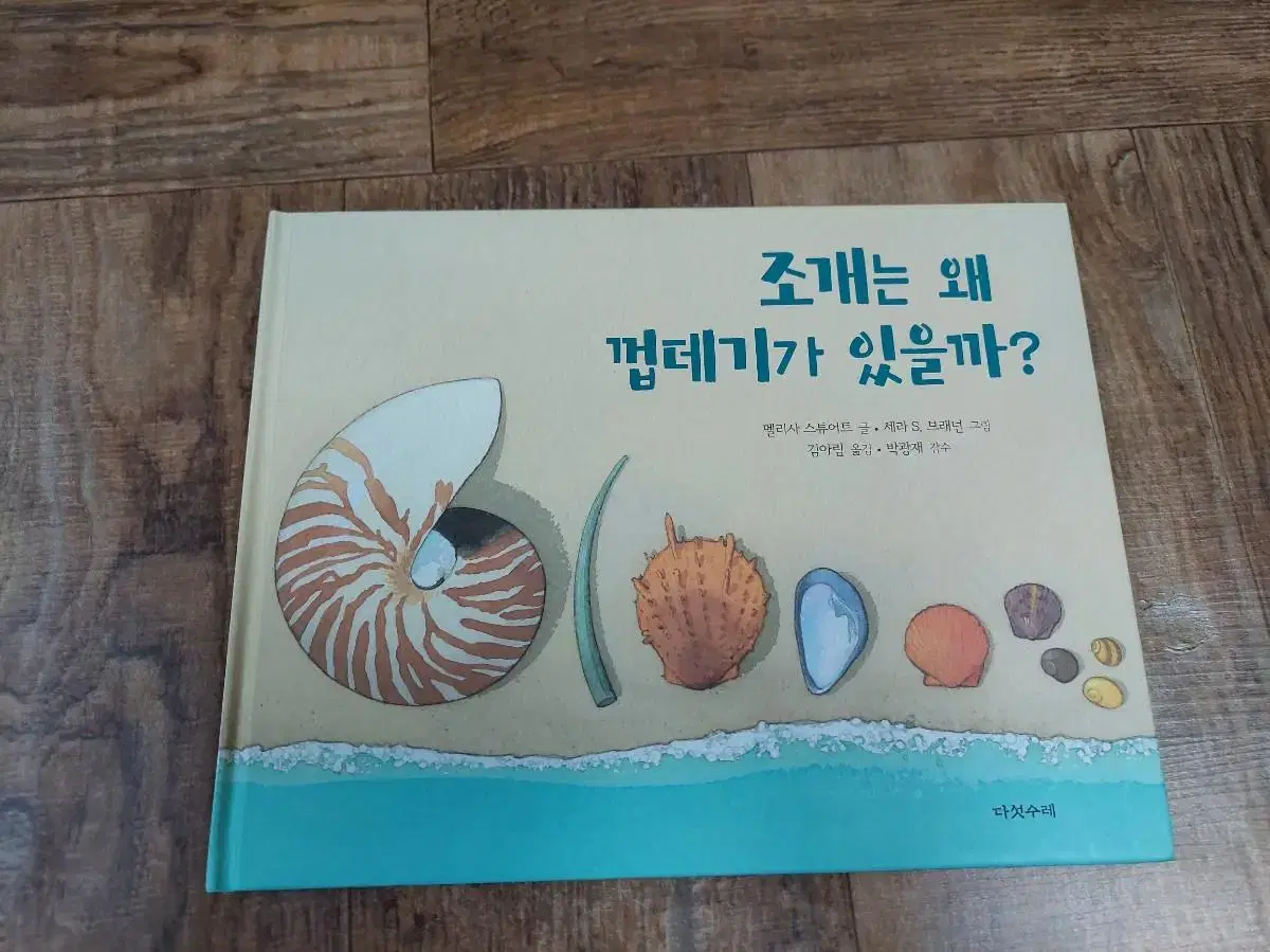 조개는 왜 껍데기가 있을까?