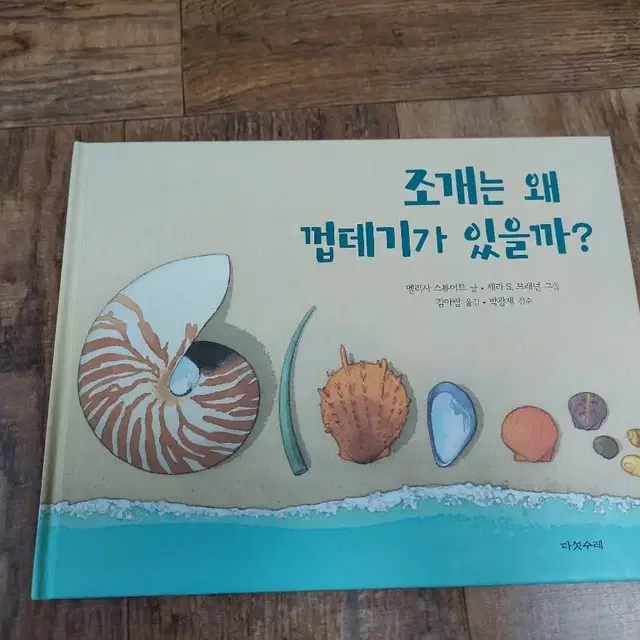 조개는 왜 껍데기가 있을까?