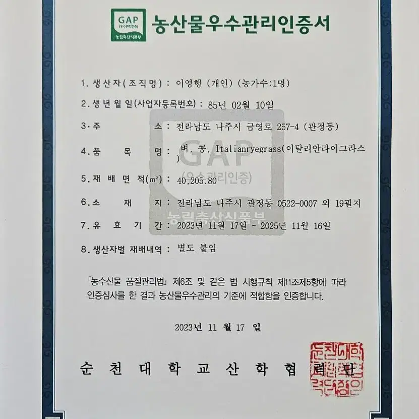 약콩, 쥐눈이콩, 서목태, 검정콩