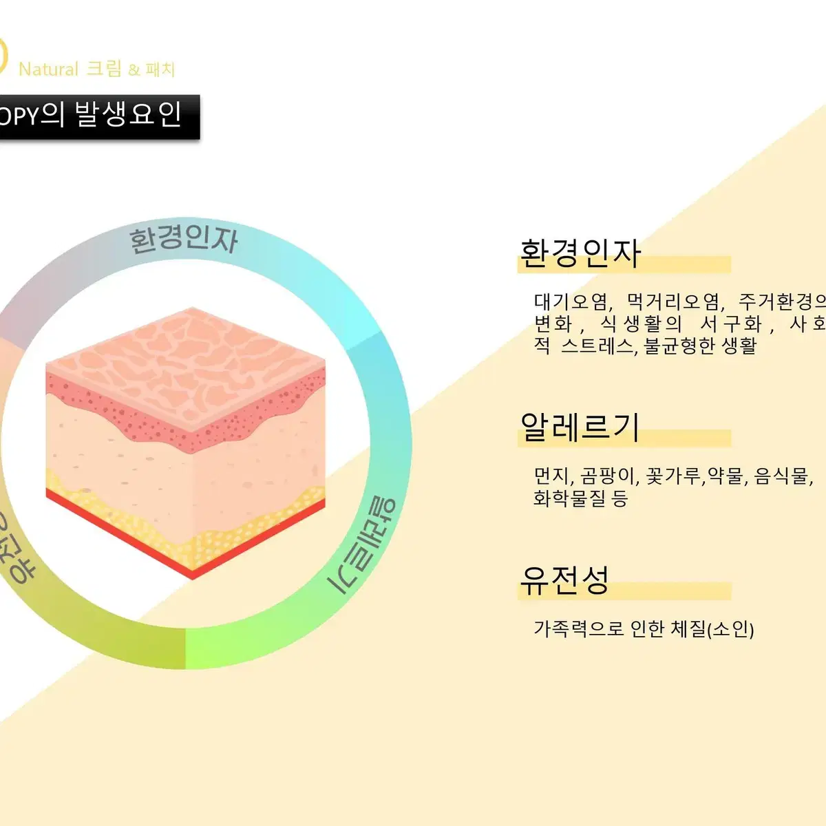 메디셀바이오 아토 에센셜 퍼펙트 크림