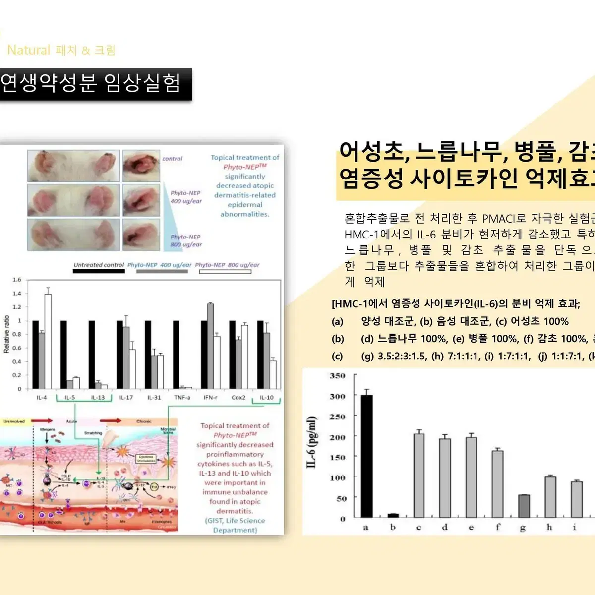 메디셀바이오 아토 에센셜 퍼펙트 크림