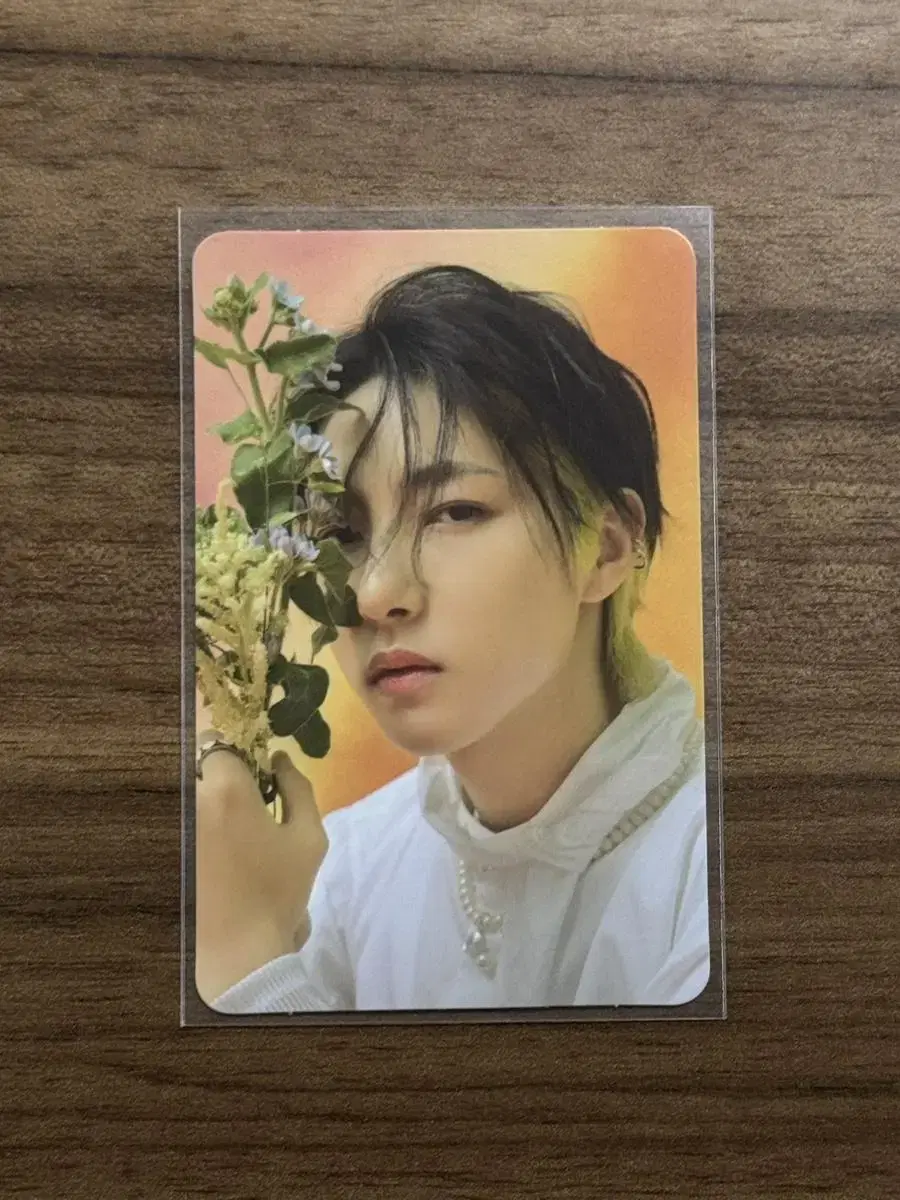 nct dream hello renjun photocard