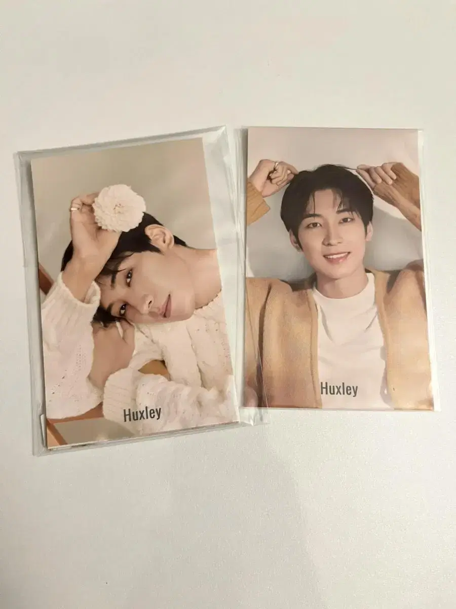 Wonwoo Huxley Photocard