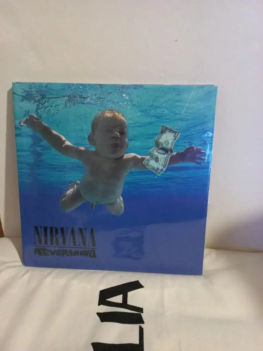 너바나 20주년 한정판 lp   nirvana