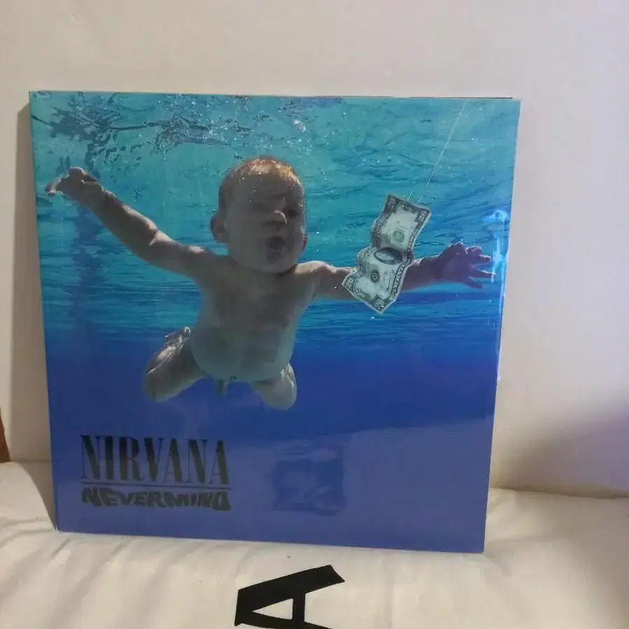 너바나 20주년 한정판 lp   nirvana