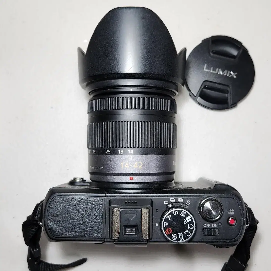 파나소닉 루믹스 DMC-GF1 (14mm-42mm)