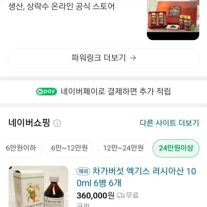 러시아 차가버섯 액기스 (BEFUNGIN 100 ml)