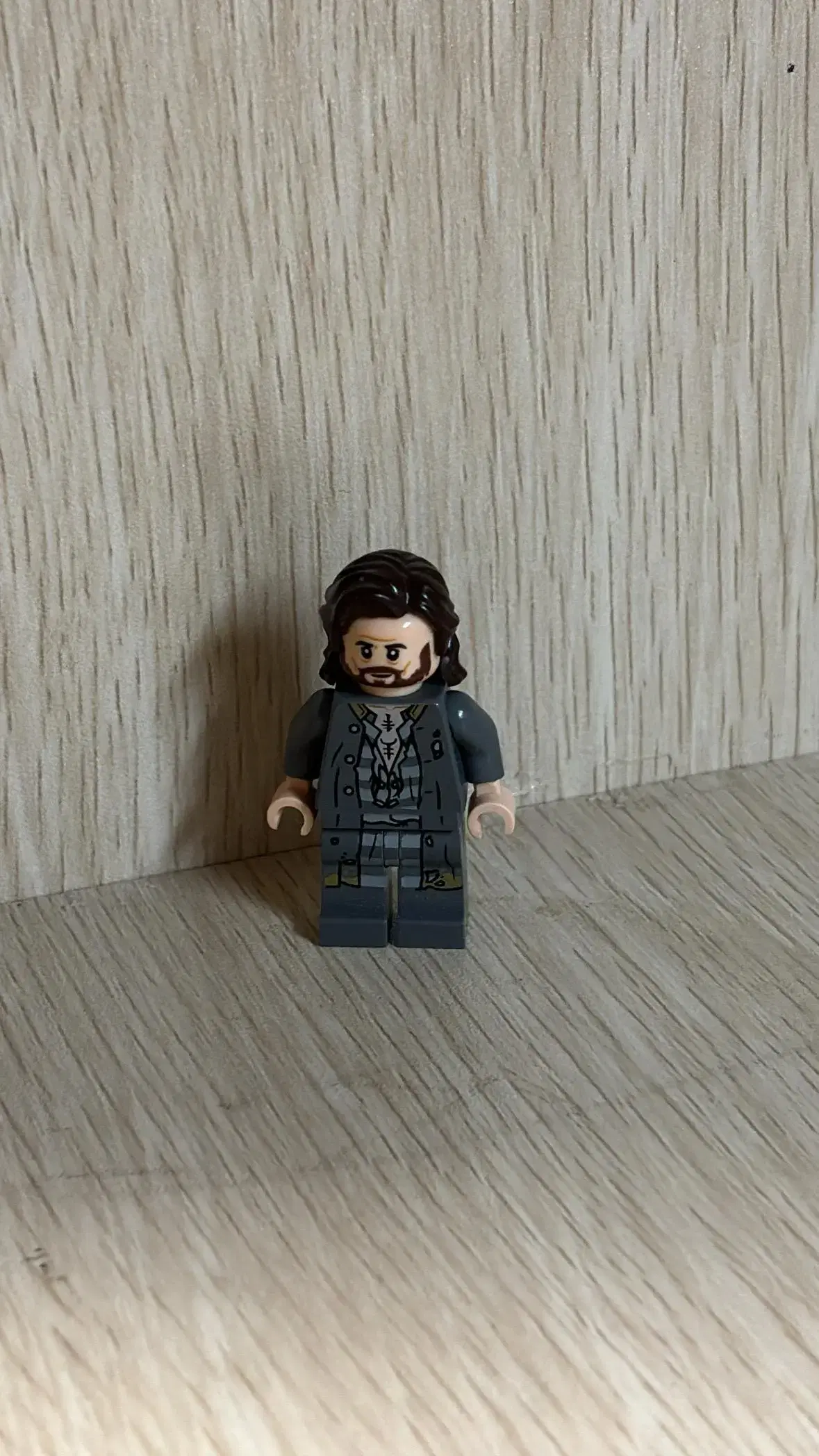 LEGO Harry Potter 75945 Sirius Black