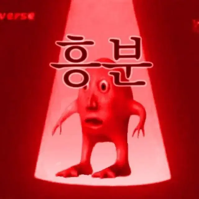 앙스타 파샤 판매합니다!!!