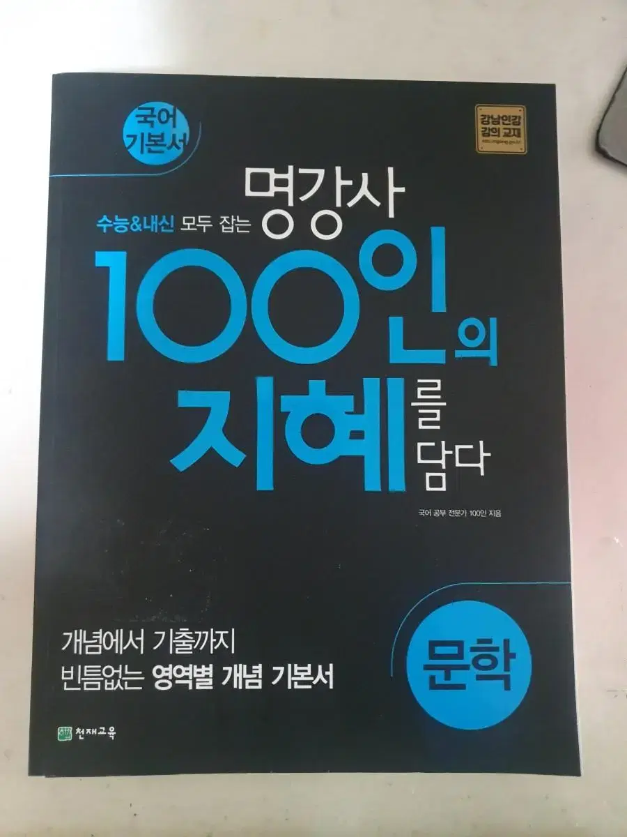 100인의 지혜를 담다 국어 기본서 문학 독서