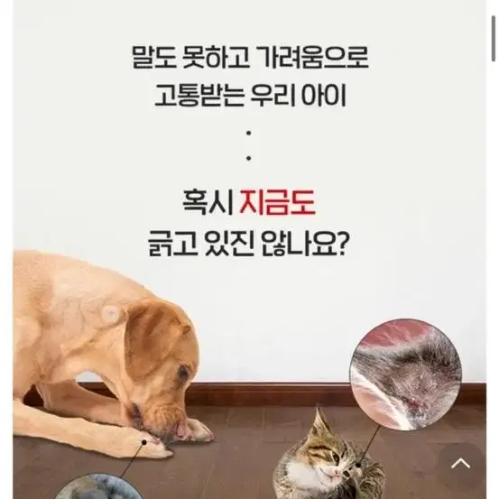 강아지 고양이 겸용 크림 로션 새상품