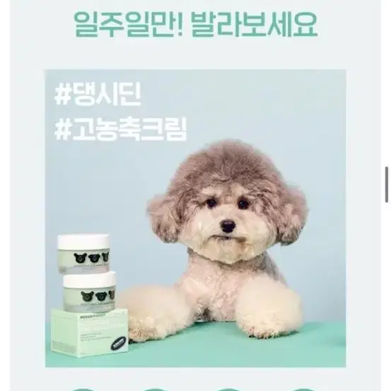 강아지 고양이 겸용 크림 로션 새상품