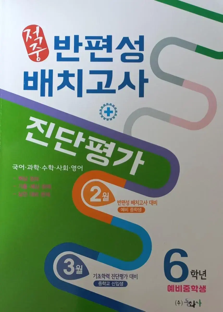 예비중 십입생 배치고사 진단평가 대비 문제집 50%할인