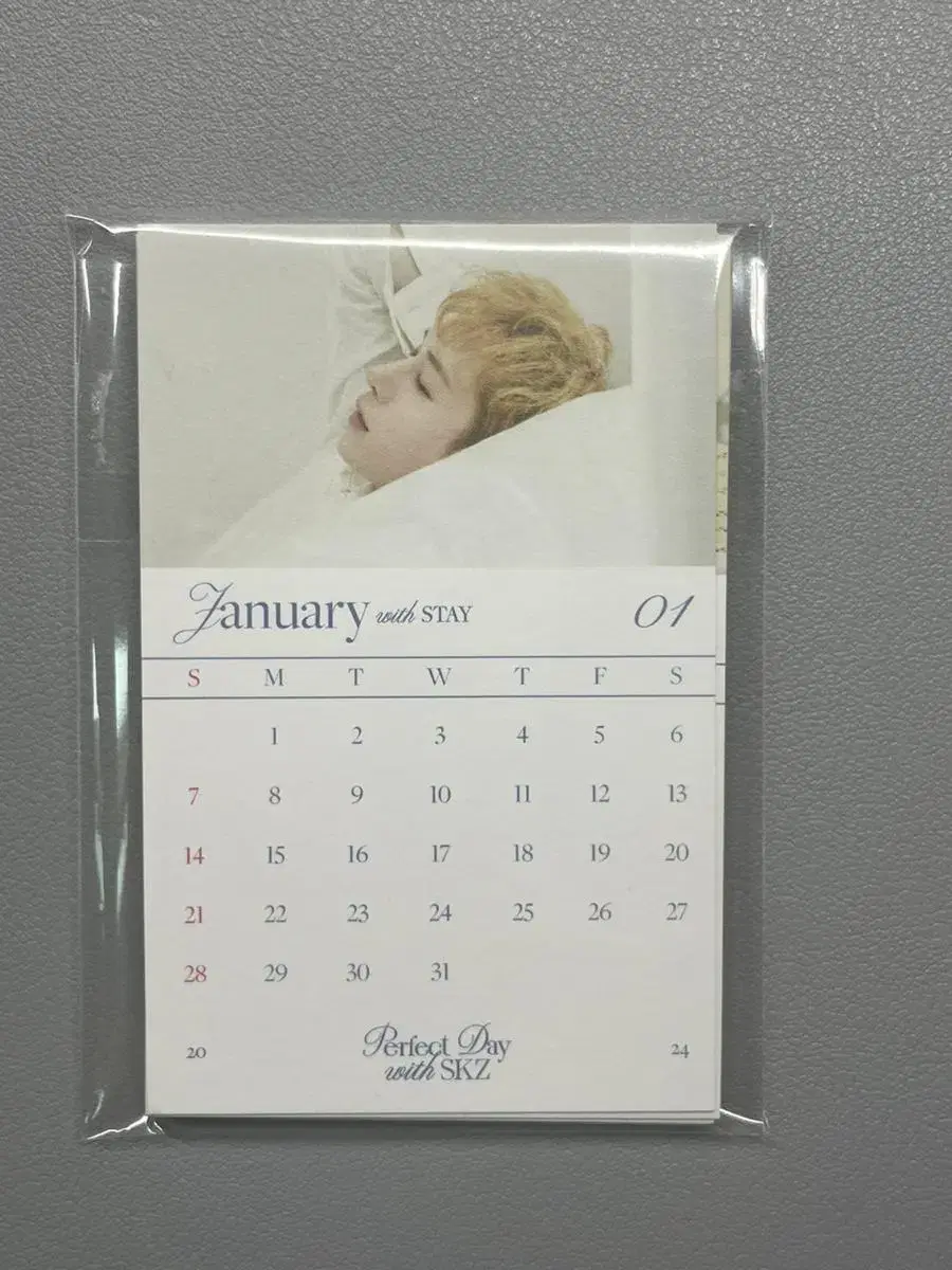 Straykids skz seasons greetings Mini Calendar 2024 WTS