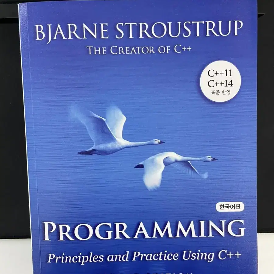 Principles and practice using c++ 한국어판