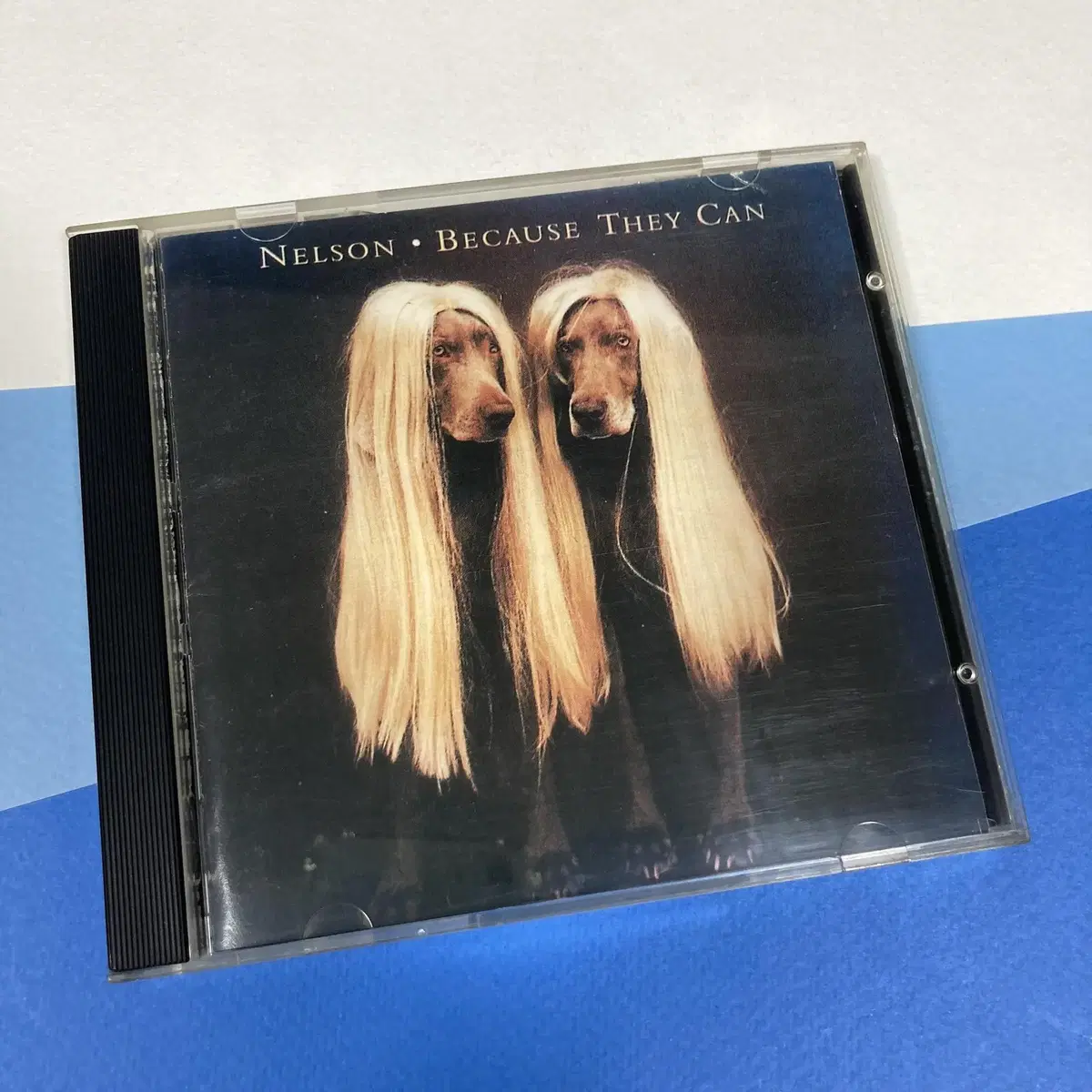 [중고음반/CD] Nelson 넬슨 2집 Because They Can