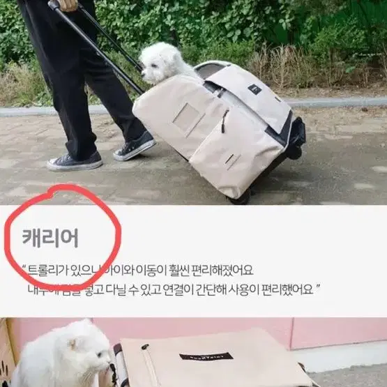 루이까몽 아밍백 블랙 / 강아지 이동장