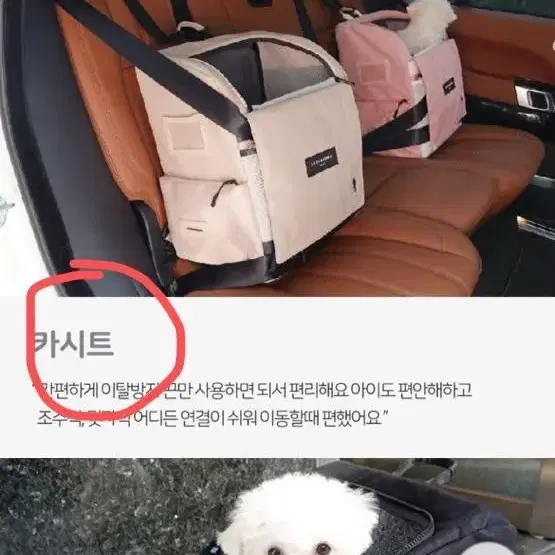 루이까몽 아밍백 블랙 / 강아지 이동장