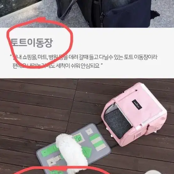 루이까몽 아밍백 블랙 / 강아지 이동장