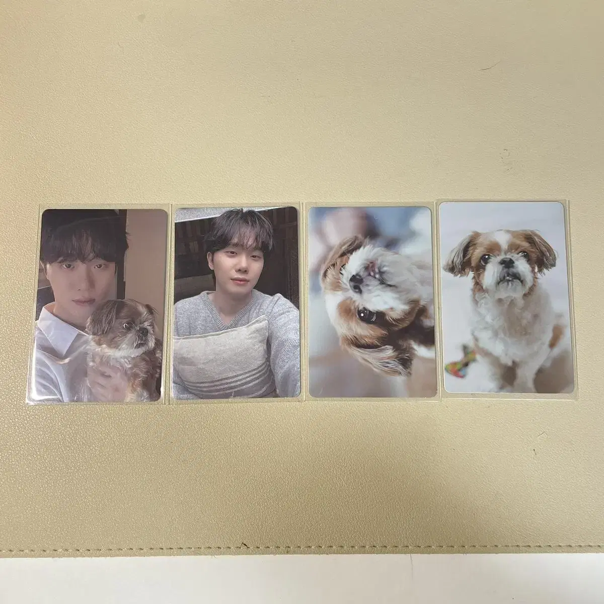 Hyunsang Ha seasons greetings Seasongrating photocard bulk Sell