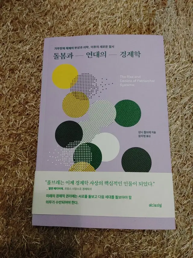 돌봄과 연대의 경제학 사회학 경제 경영 도서 책