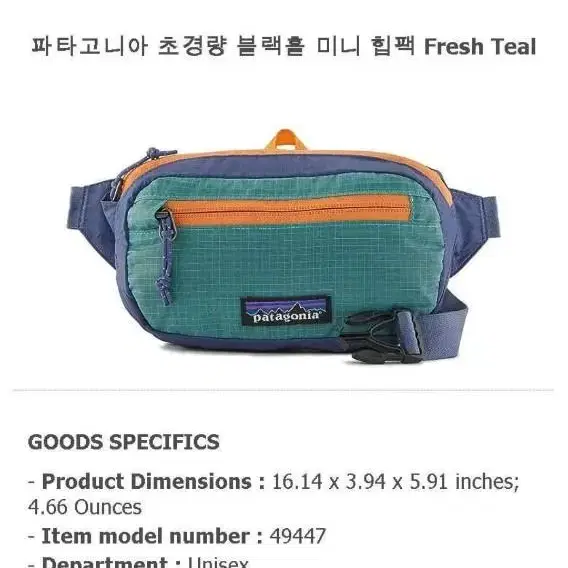 파타고니아 Patagonia 힙색 힙쌕 슬링백