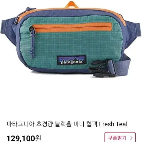 파타고니아 Patagonia 힙색 힙쌕 슬링백