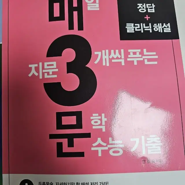 매일 지문 3개씩 푸는 문학 수능 기출