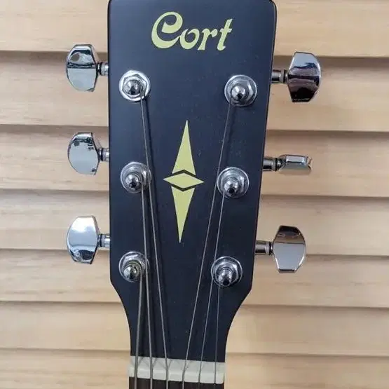 Cort af510(기타)