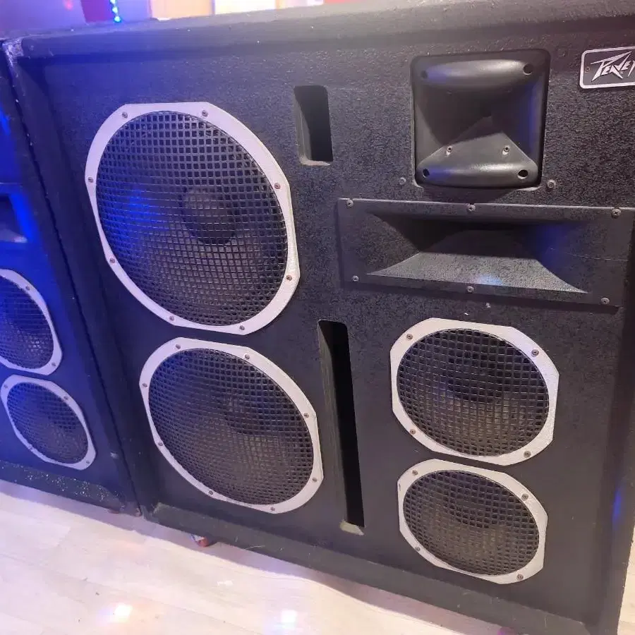 피베이 (PEAVEY 3020 HT  TM) 스피커