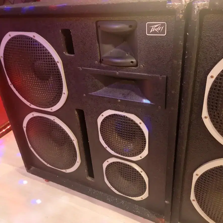 피베이 (PEAVEY 3020 HT  TM) 스피커