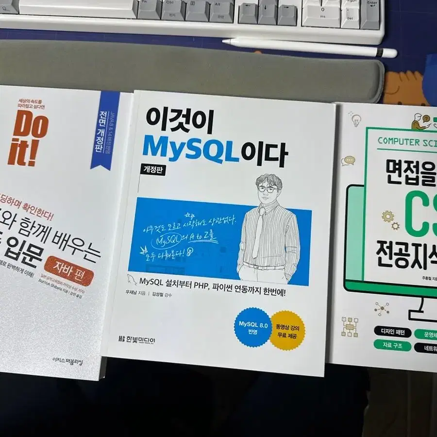 알고리즘 입문, mysql, 전공지식노트