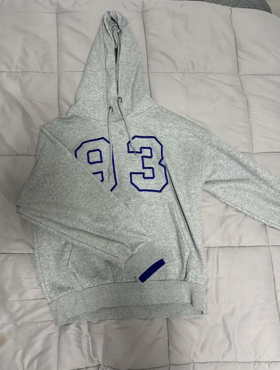 1993 Hoodie