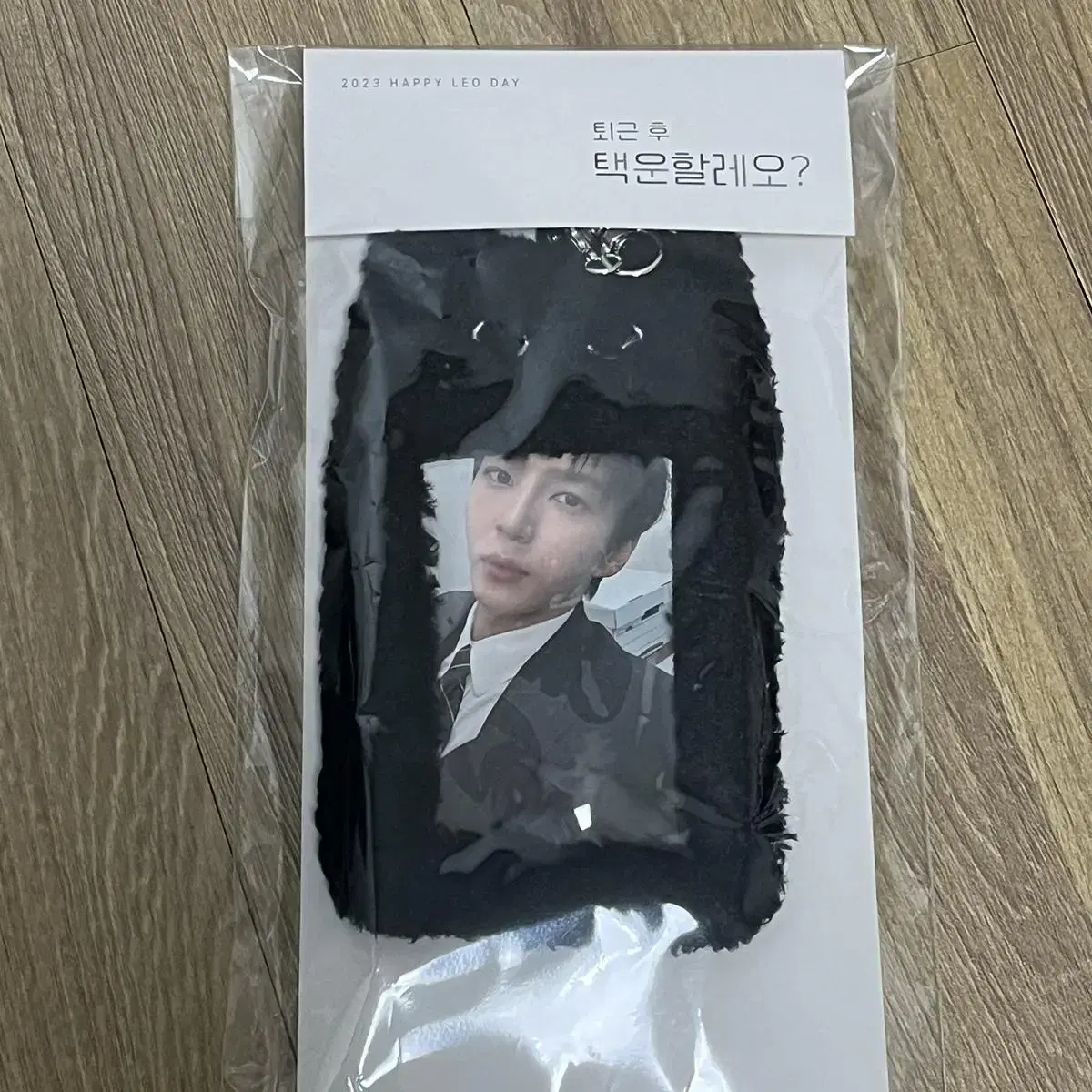 Bixleo fanmeeting photocard holder