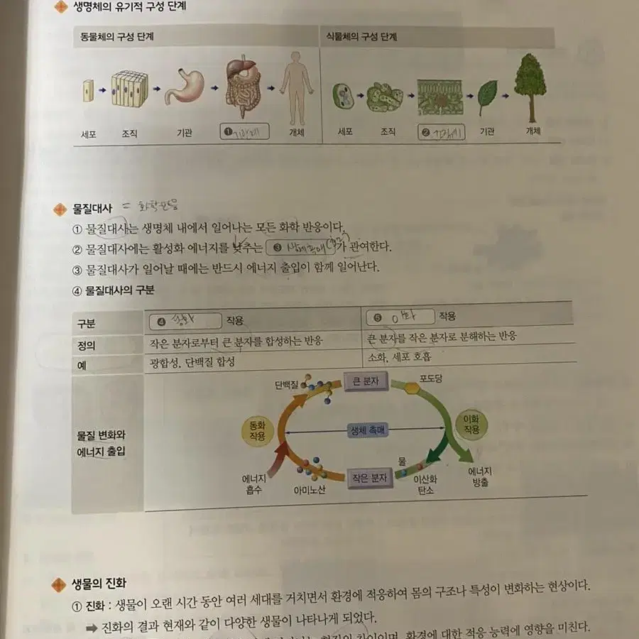 완자 고등 화학1 새책, 생명과학1 (중고) 2022문제집 문제지 고등